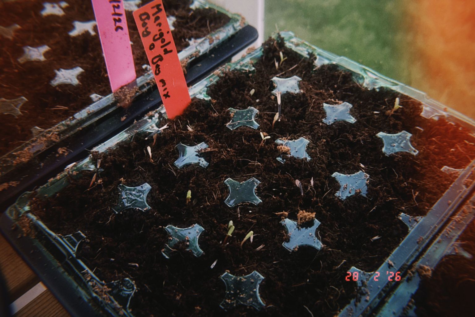 Project image for Studio and Life